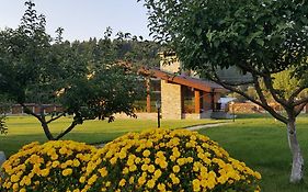 Gostnici Holiday Home